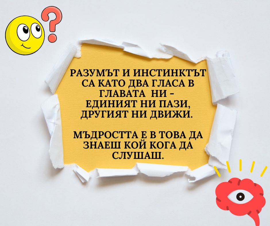 Инстинктите като невидими двигатели на човешкото поведение и решения!